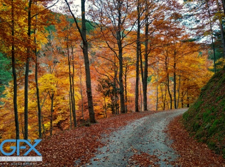 عکس طبیعت پاییزی