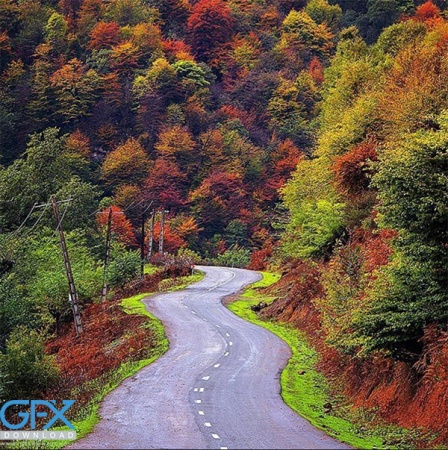 دانلود عکس طبیعت پاییز