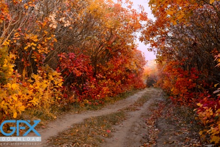 عکس طبیعت غروب پاییز