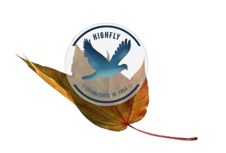 دانلود پروژه افتر افکت نمایش لوگو با ریزش برگ های پاییزی