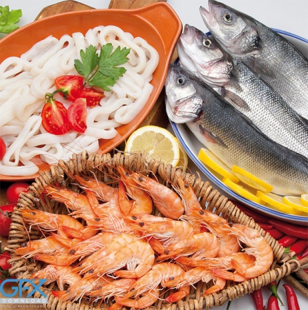 دانلود عکس ماهی و میگو