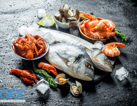 عکس ماهی غذایی