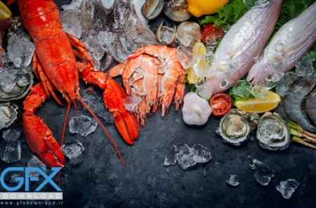 عکس ماهی و میگو