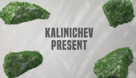 پروژه پریمیر نمایش لوگو سه بعدی با سنگ و چمن Stones And Grass Logo