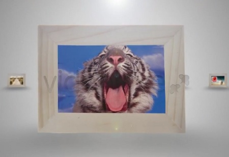 پروژه افتر افکت اسلایدشو فریم عکس Slide Frame Photo Album