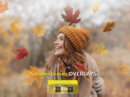 دانلود png ریزش برگ های پاییزی