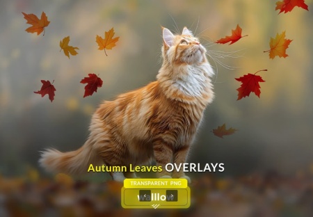 دانلود افکت برگ ریزان پاییز png