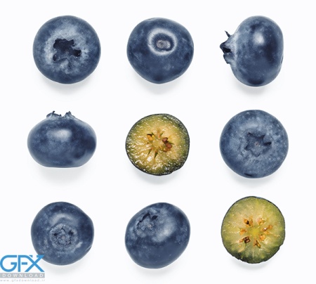 عکس انواع میوه بلوبری