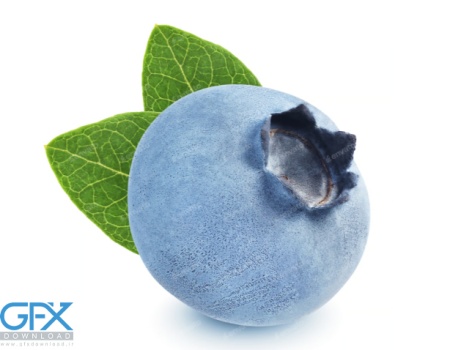 عکس از میوه بلوبری