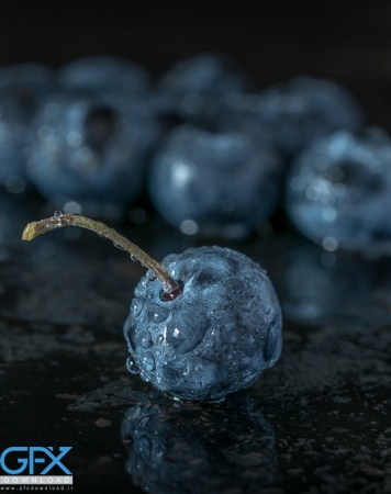 عکس بلوبری بنفش