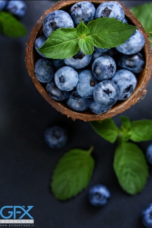 عکس بلوبری جنگلی