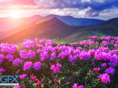 عکس طبیعت جذاب