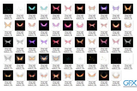 خرید png بال فرشته برای ادیت فتوشاپ