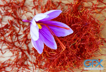 عکس زعفران و گل زعفران با کیفیت بالا