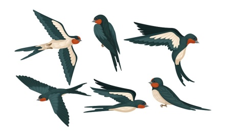 وکتور پرستو کارتونی