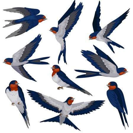 دانلود وکتور پرستو کارتونی