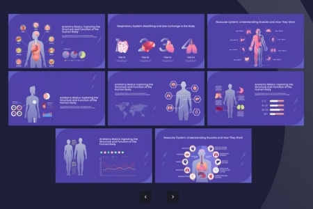 دانلود قالب اینفوگرافیک آناتومی بدن انسان