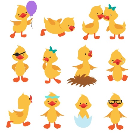 وکتور جوجه اردک