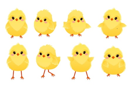 دانلود وکتور جوجه اردک