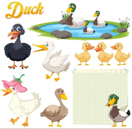 وکتور جوجه اردک زشت