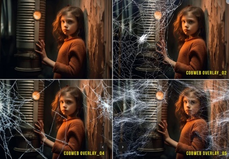 دانلود تصویر png تار عنکبوت