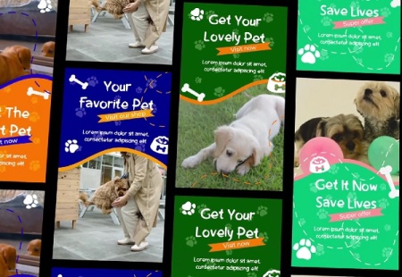 پروژه افتر افکت استوری اینستاگرام حیوانات خانگی Pets Instagram