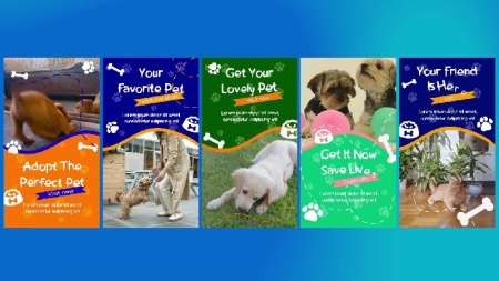 دانلود پروژه افتر افکت استوری اینستاگرام حیوانات خانگی Pets Instagram