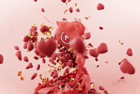 پروژه پریمیر لوگوی عاشقانه روز ولنتاین Valentines Day Logo