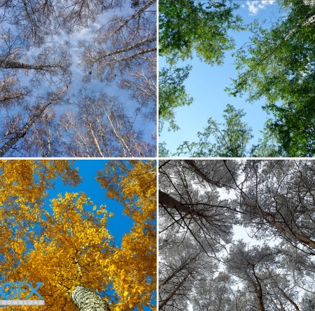 عکس طبیعت چهار فصل