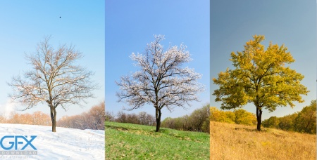 دانلود عکس طبیعت چهار فصل