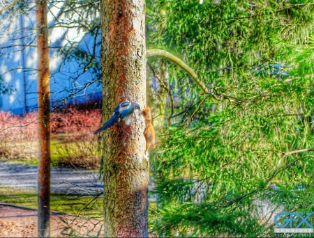 عکس طبیعت تمیز