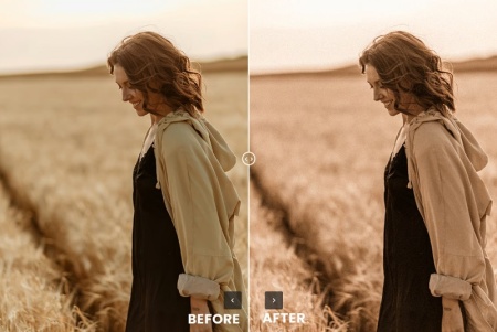 دانلود پریست رنگی تیره فصل بهار برای لایت روم و فتوشاپ