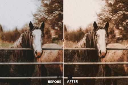 دانلود پریست تیره فصل بهار برای لایت روم و فتوشاپ