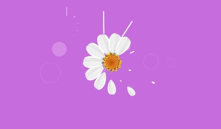 خرید پروژه آماده افتر افکت لوگو موشن بهاری Spring Logo