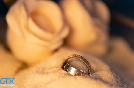 زیباترین حلقه‌ های نامزدی در پس‌ زمینه سفید