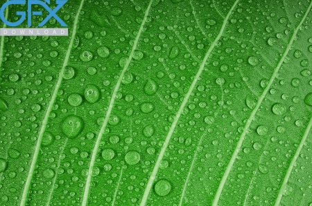  بک گراند سبز پاستیلی ساده