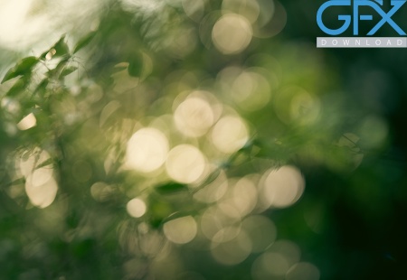 بک گراند بوکه نوری طبیعت سبز برای ادیت فتوشاپ