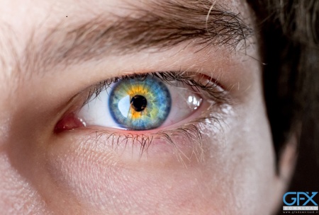 نمای نزدیک از چشم و ابرو واقعی