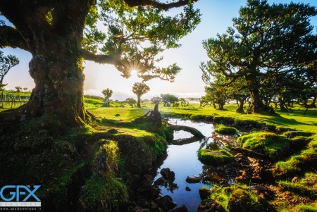 مناظر بکر و طبیعی جهان با بهترین کیفیت برای چاپ