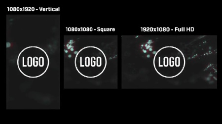 دانلود پروژه آماده نمایش لوگو Noir برای تبلیغات و برندینگ