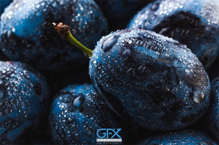 دانلود نمای نزدیک از میوه بلوبری ارگانیک