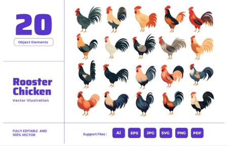 دانلود وکتور جوجه خروس برای چاپ