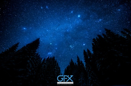 عکس ستاره طبیعی با کیفیت عالی برای چاپ بنر