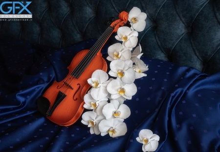 عکس ویولن تکی روی زمینه پارچه، مناسب چاپ پوستر و قاب هنری