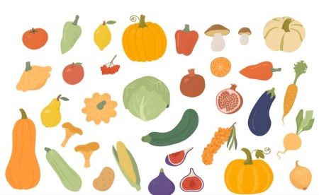 مجموعه وکتور میوه فصل پاییز برای طراحی پوستر و بسته‌بندی