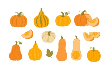 وکتور کدو تنبل