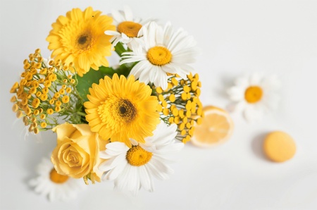 تصویر گل های زرد زیبا با پس‌ زمینه سفید برای چاپ حرفه‌ای