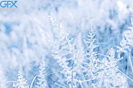 بک گراند یخ و سرما برای چاپ با کیفیت بالا و بافت کریستالی