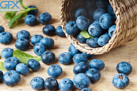 خرید عکس با کیفیت بلوبری در سبد برای طراحی گرافیکی