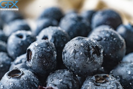 عکس کلوزآپ بلوبری با جزئیات بالا مناسب تصویر زمینه